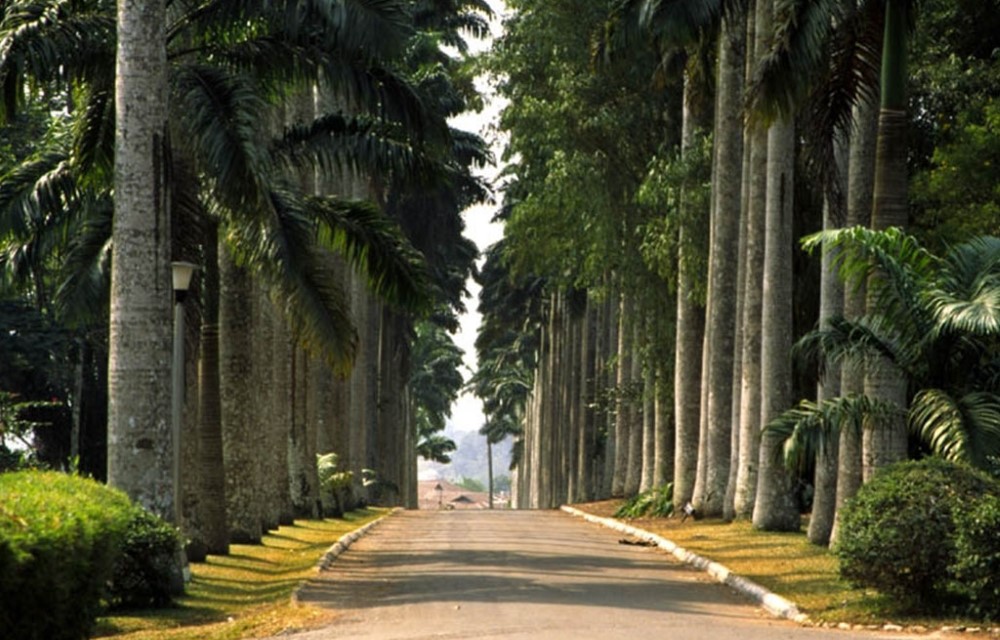 Terra Santa Lodgings & Restaurant